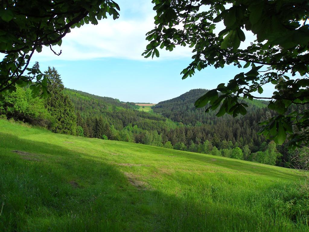 Weidenberg Ferienwohnung Wildenreuth מראה חיצוני תמונה